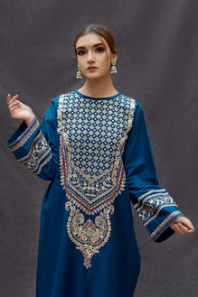 BT 69-2 Piece Unstitched Heavy Embroidered Dhanak Suit