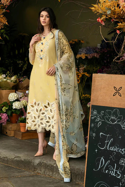 MQ 2570-3 Piece Embroidered Lawn Shirt with Printed Dupatta